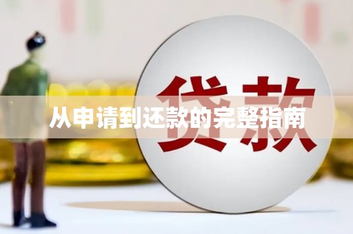 禹城从申请到还款的完整指南