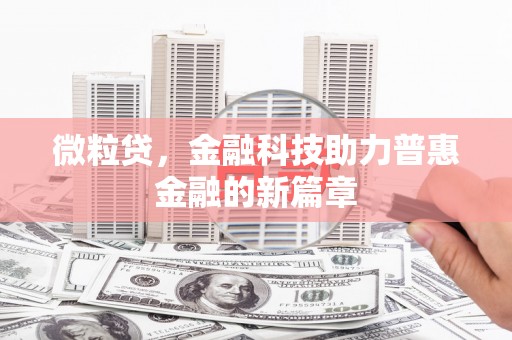 禹城微粒贷，金融科技助力普惠金融的新篇章