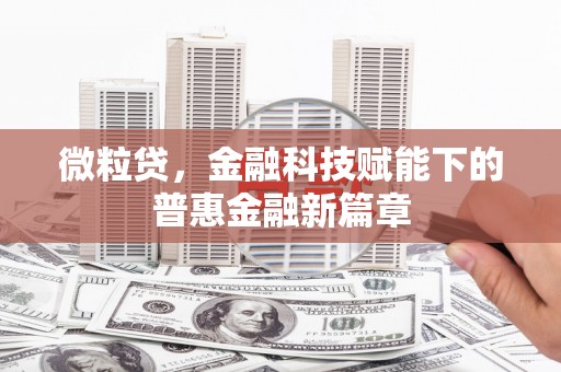 禹城微粒贷，金融科技赋能下的普惠金融新篇章