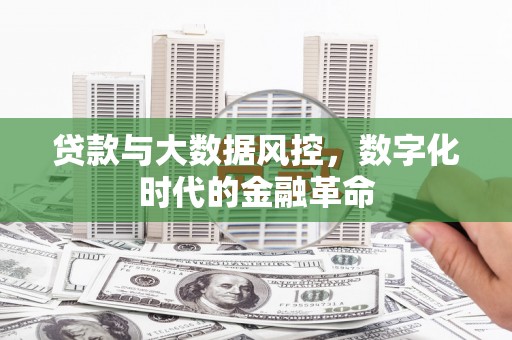禹城贷款与大数据风控，数字化时代的金融革命