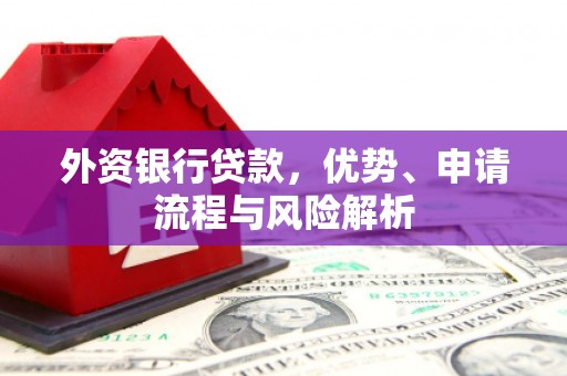 禹城外资银行贷款，优势、申请流程与风险解析