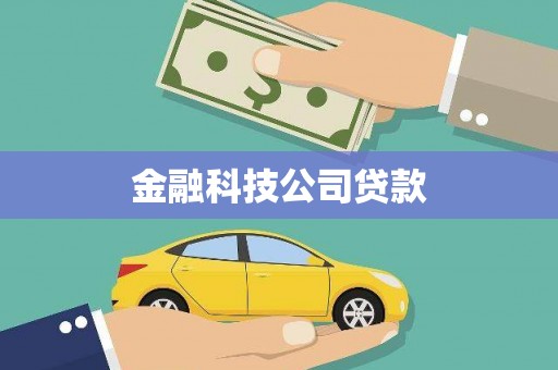 禹城金融科技公司贷款
