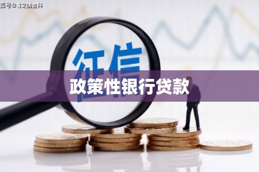 禹城政策性银行贷款