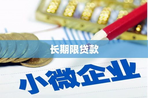 禹城长期限贷款