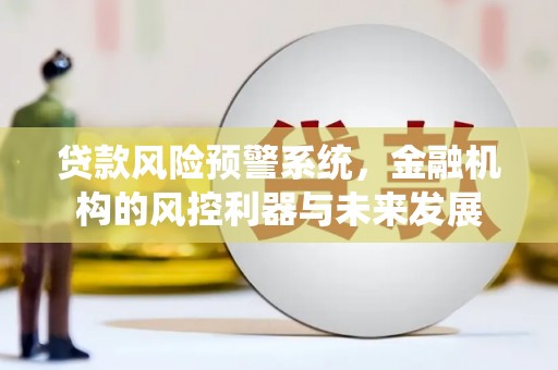 禹城贷款风险预警系统，金融机构的风控利器与未来发展