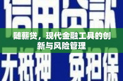 禹城随薪贷，现代金融工具的创新与风险管理