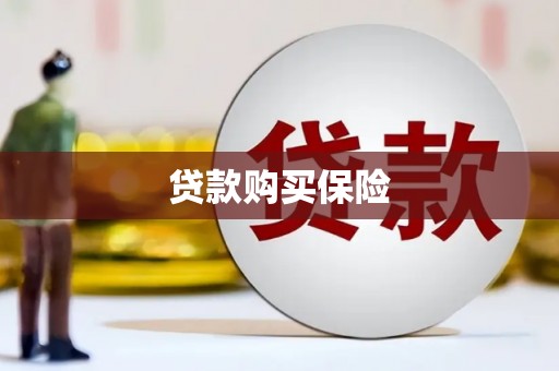 禹城贷款购买保险