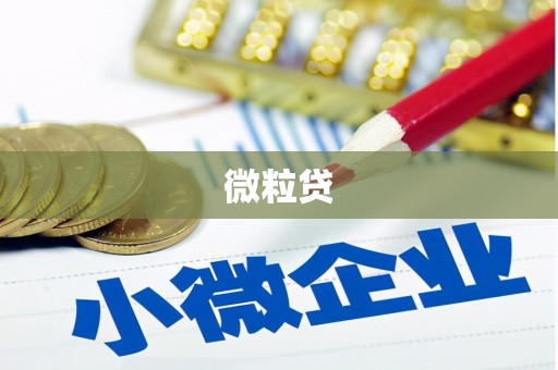 禹城微粒贷