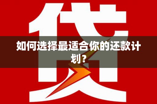 禹城如何选择最适合你的还款计划？