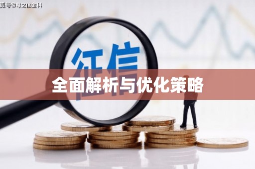 禹城全面解析与优化策略