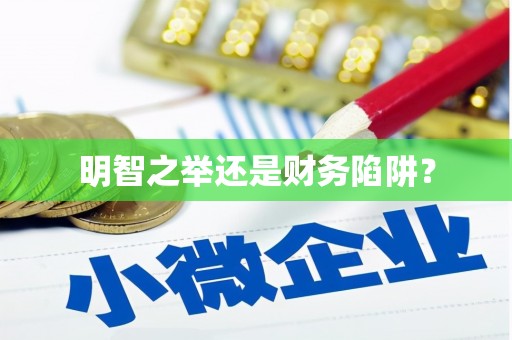 禹城明智之举还是财务陷阱？