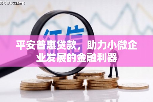 禹城平安普惠贷款，助力小微企业发展的金融利器