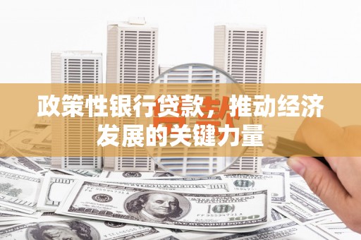 禹城政策性银行贷款，推动经济发展的关键力量