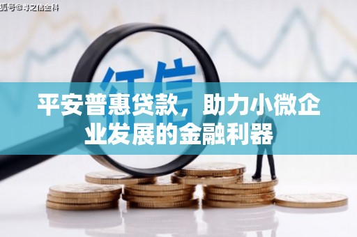 禹城平安普惠贷款，助力小微企业发展的金融利器