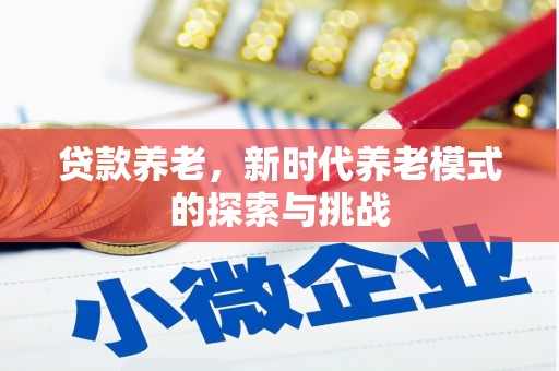 禹城贷款养老，新时代养老模式的探索与挑战