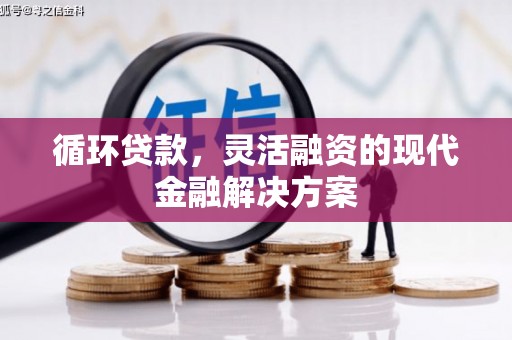禹城循环贷款，灵活融资的现代金融解决方案
