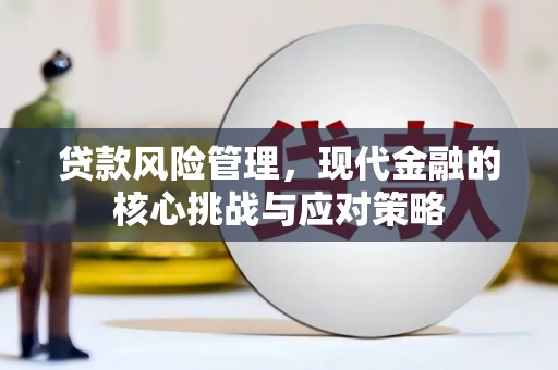 禹城贷款风险管理，现代金融的核心挑战与应对策略
