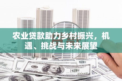 禹城农业贷款助力乡村振兴，机遇、挑战与未来展望
