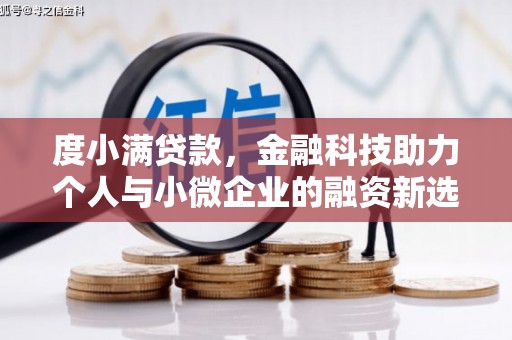禹城度小满贷款，金融科技助力个人与小微企业的融资新选择