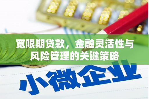 禹城宽限期贷款，金融灵活性与风险管理的关键策略