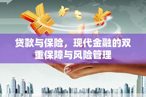 禹城贷款与保险，现代金融的双重保障与风险管理