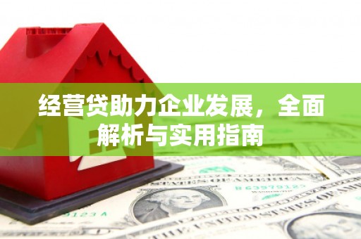 禹城经营贷助力企业发展，全面解析与实用指南
