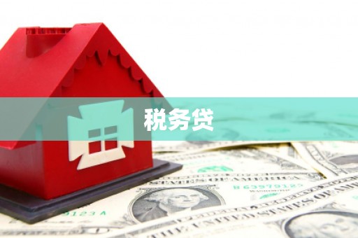 禹城税务贷