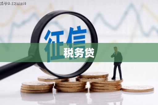 禹城税务贷