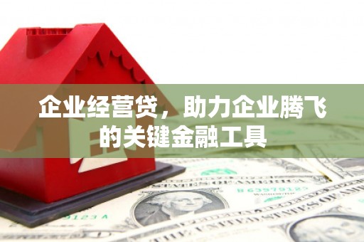 禹城企业经营贷，助力企业腾飞的关键金融工具