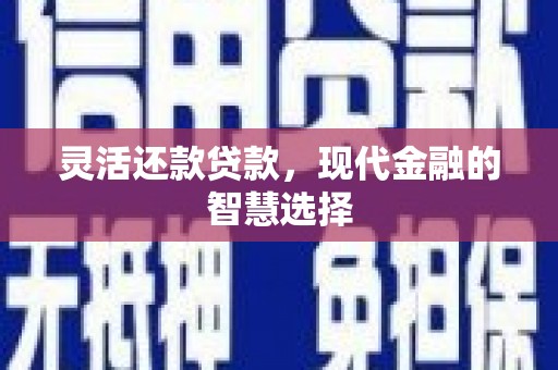 禹城灵活还款贷款，现代金融的智慧选择