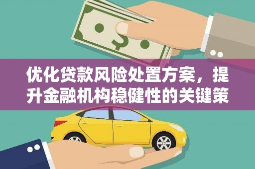 禹城优化贷款风险处置方案，提升金融机构稳健性的关键策略