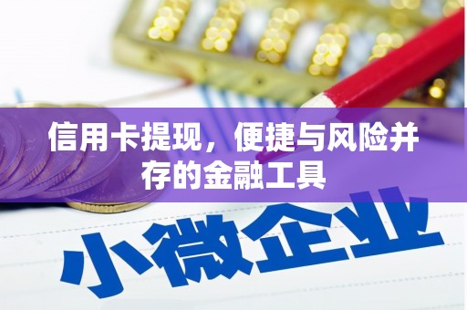 禹城信用卡提现，便捷与风险并存的金融工具