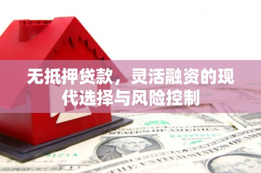 禹城无抵押贷款，灵活融资的现代选择与风险控制