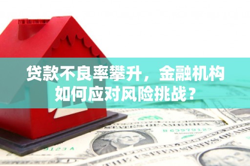 禹城贷款不良率攀升，金融机构如何应对风险挑战？