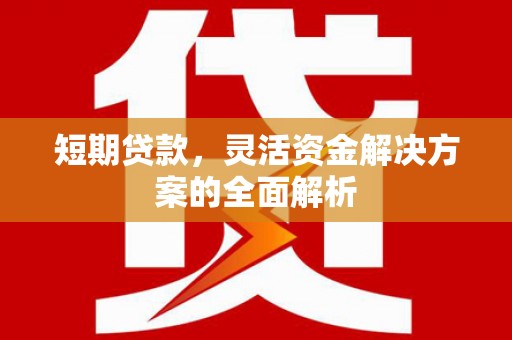 禹城短期贷款，灵活资金解决方案的全面解析