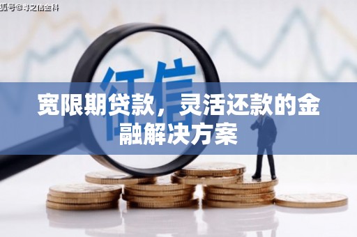 禹城宽限期贷款，灵活还款的金融解决方案