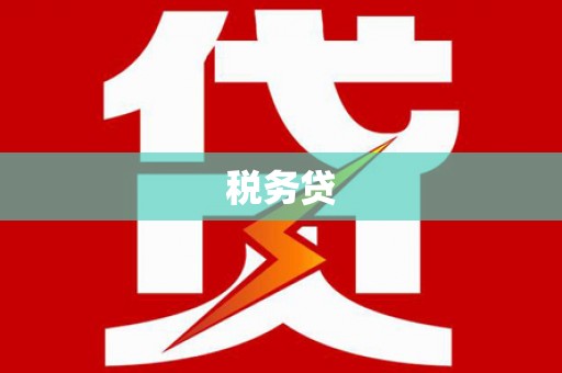 禹城税务贷