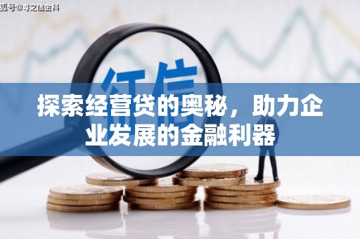 禹城探索经营贷的奥秘，助力企业发展的金融利器