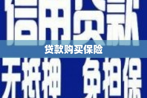 禹城贷款购买保险
