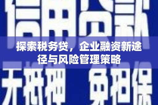 禹城探索税务贷，企业融资新途径与风险管理策略