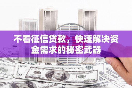 禹城不看征信贷款，快速解决资金需求的秘密武器