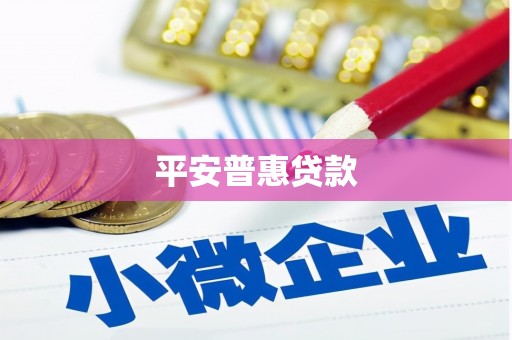 禹城平安普惠贷款