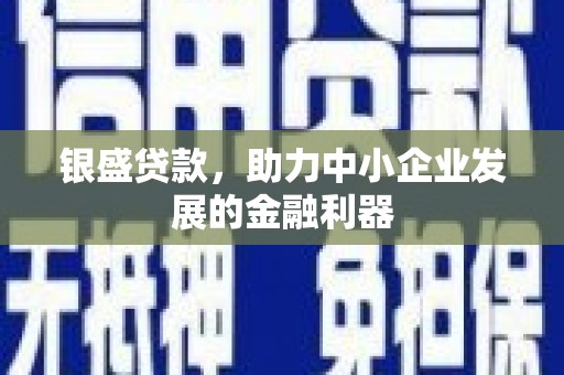 禹城银盛贷款，助力中小企业发展的金融利器