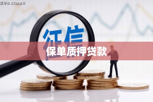 禹城保单质押贷款