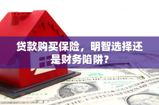 禹城贷款购买保险，明智选择还是财务陷阱？