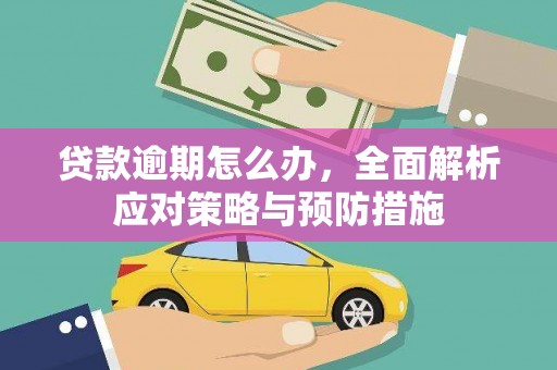 禹城贷款逾期怎么办，全面解析应对策略与预防措施
