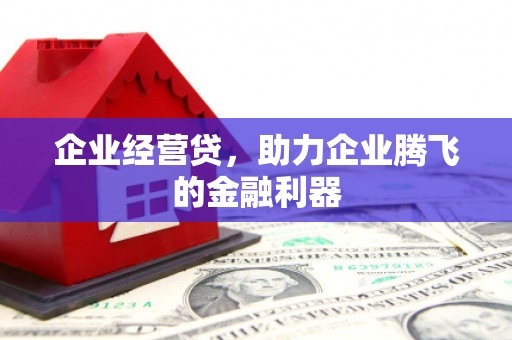 禹城企业经营贷，助力企业腾飞的金融利器