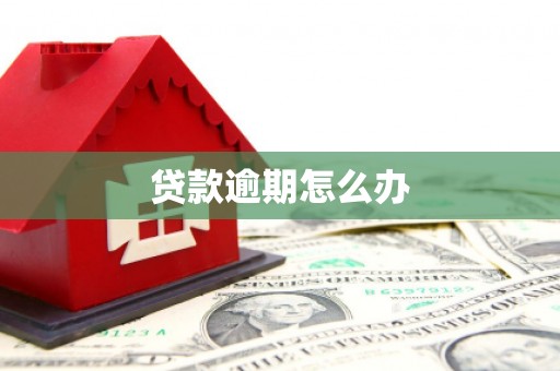 禹城贷款逾期怎么办