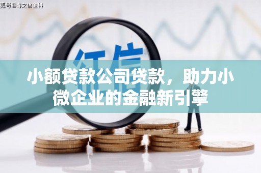 禹城小额贷款公司贷款，助力小微企业的金融新引擎