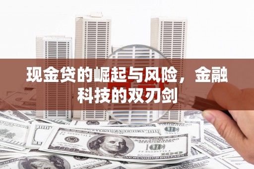 禹城现金贷的崛起与风险，金融科技的双刃剑